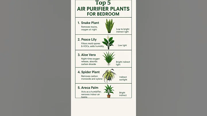 Top 5 Purifier Plant for Bedroom #gardening #garden #plants #flowers #indoorplants