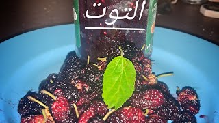 طريق صنع مربى التوت