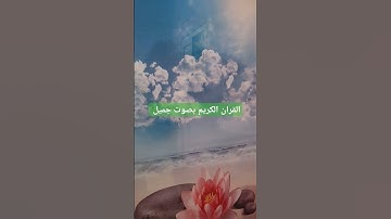 القران الكريم بصوت جميل #قرآن #اكسبلور #تيك_توك #لايك #ترند #quran #راحة_نفسية