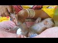 Baby Monkey | Mom Cutting Nails For Tiny Baby Olly