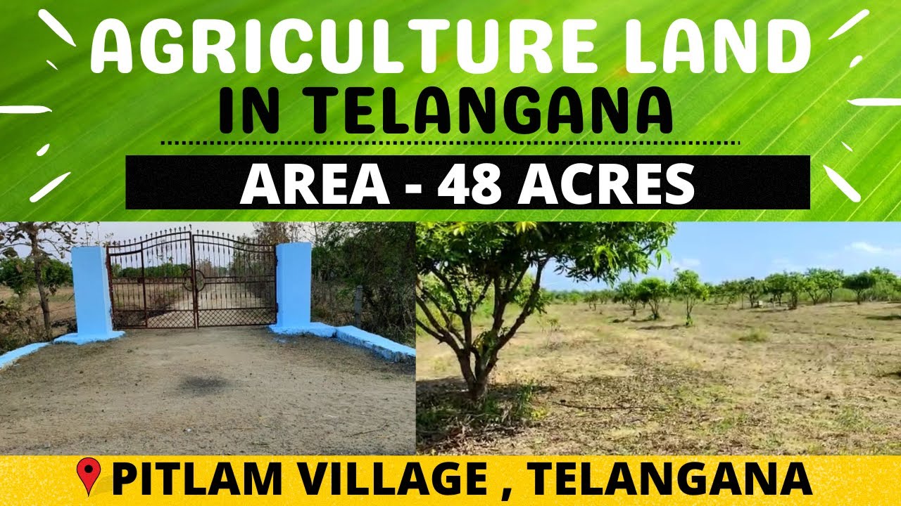 Pitlam PITLAM : 48 ACRES AGRICULTURE FARMLAND FOR SALE | BICHKUNDA ...