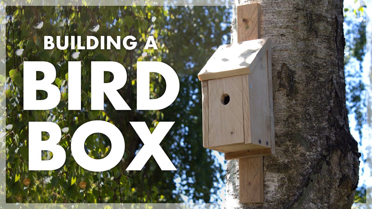 Building a Bird Box PALLET WOOD PROJECTS YouTube