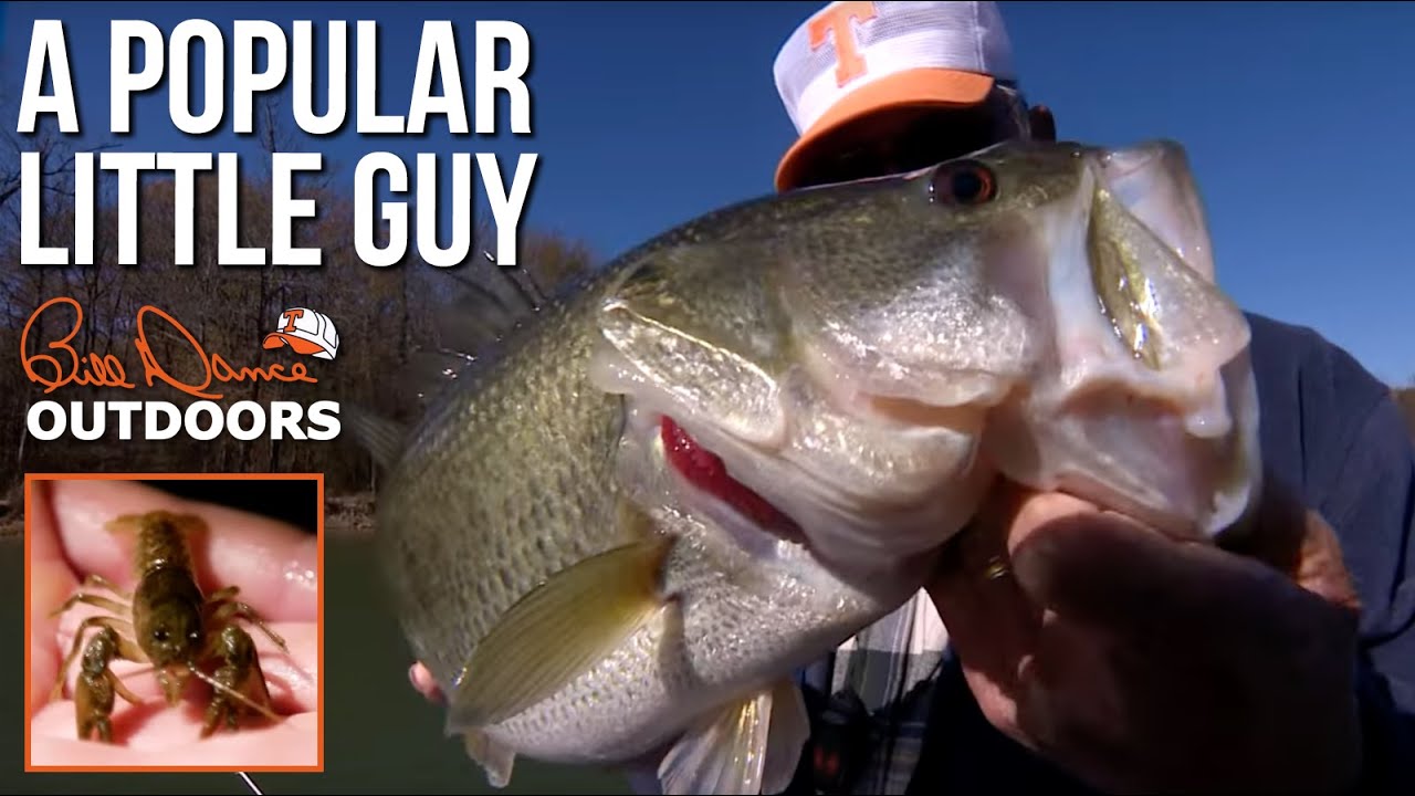 Bill Dance on catching spring bass - printed from North Texas e-News