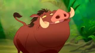 Breaking 4th Wall Compilation By NC