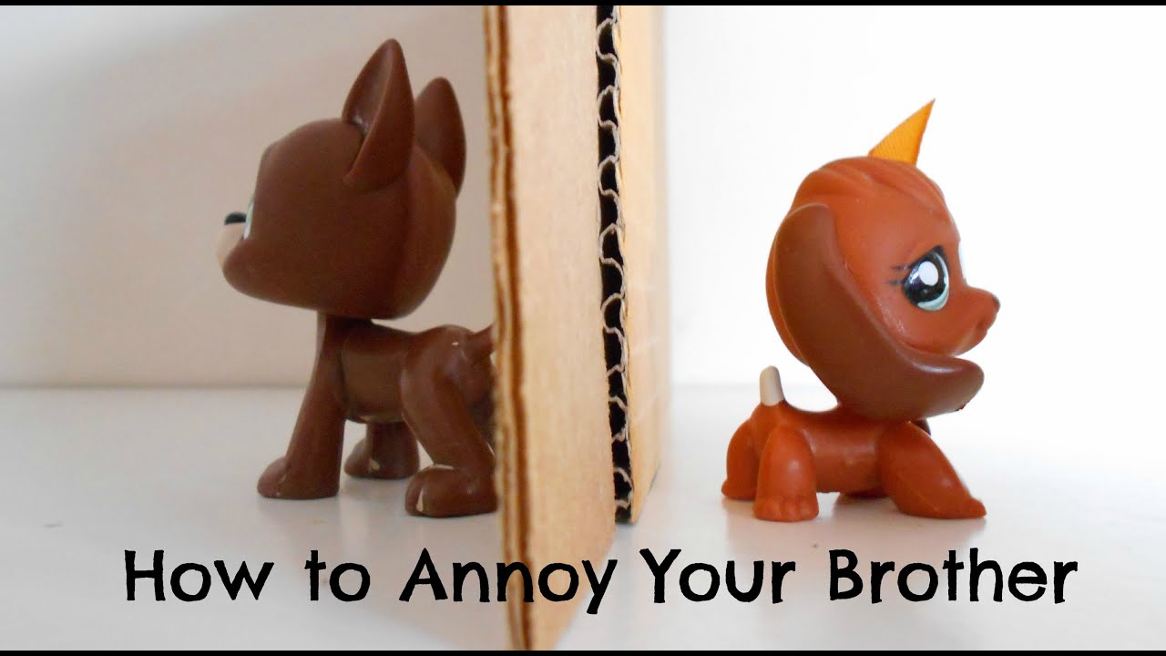 LPS: How to Annoy Your Brother - YouTube