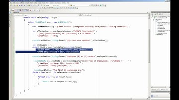 eXpress Persistent Objects - Direct SQL Queries