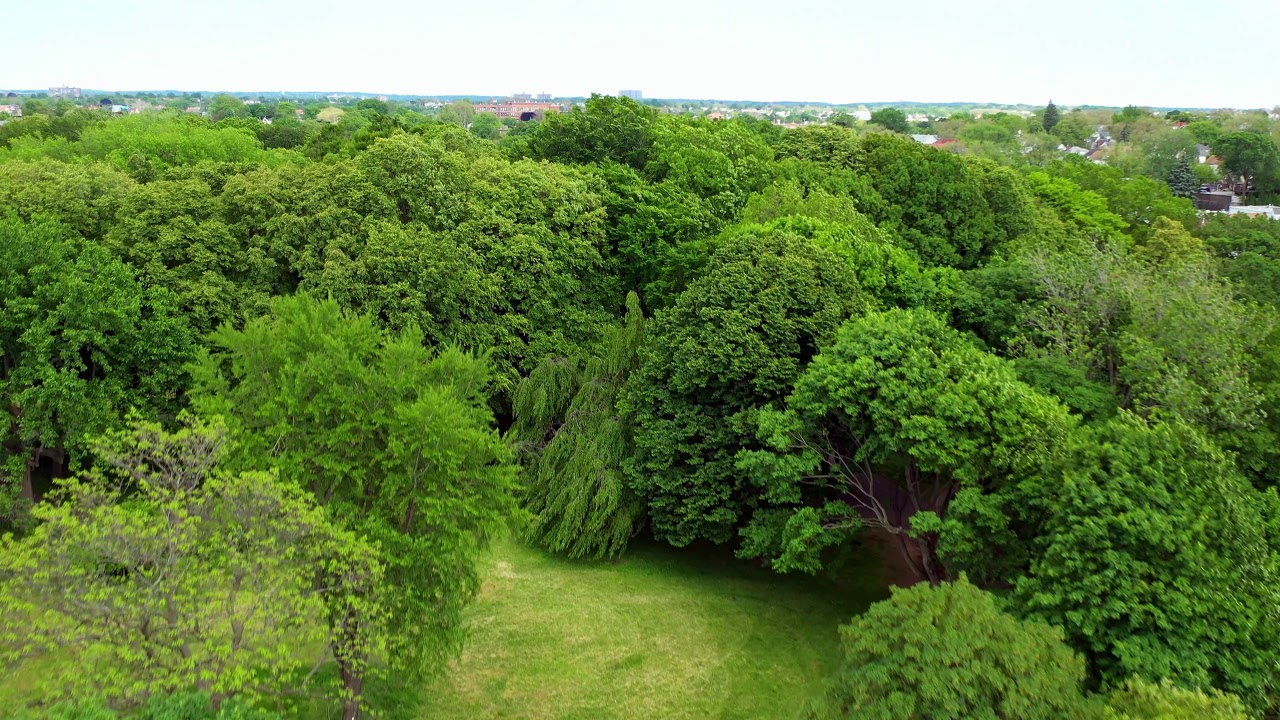 Hermon A MacNeil Park 4k college point ny mavic 2 pro YouTube