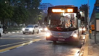 (Repainted) SBS8433H(SWDEP) On Service 117M At Yishun Avenue 2