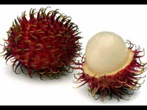  Manfaat  Khasiat Buah  Rambutan  Untuk  Kesehatan dan 