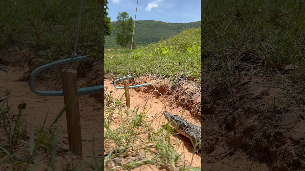 DIY Unique Crocodile Trap 