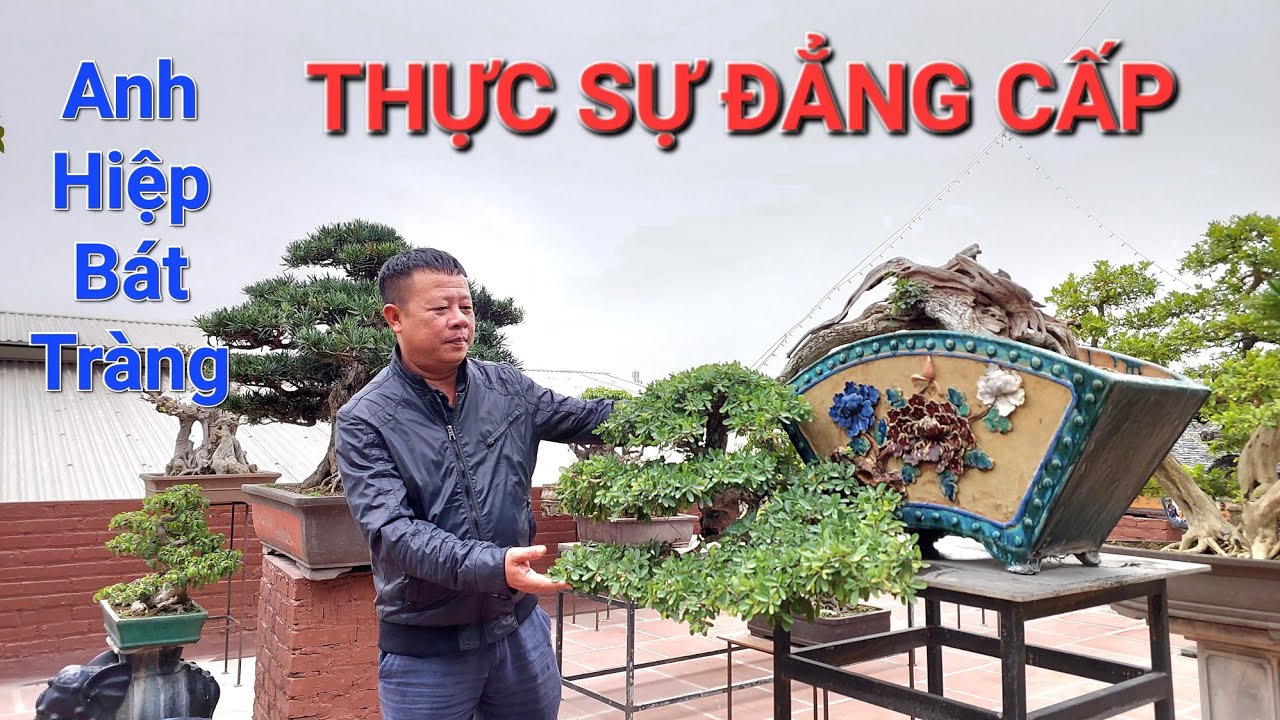 vườn cây QUÁ ĐẸP trên TẦNG 3 nhà anh HIỆP BÁT TRÀNG * những TP QUÁ XUẤT SẮC của anh .