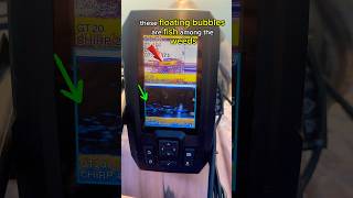 Identifying Fish On Garmin Striker 4 Fish Finder