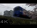 高田駅のさくら/Kouda Station Cherry Blossoms (4K)