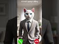 CEO Of Catnip Calling Funnycats Shorts Ringtone CEO Of Catnip Calling Funnycats Shorts Ringtone