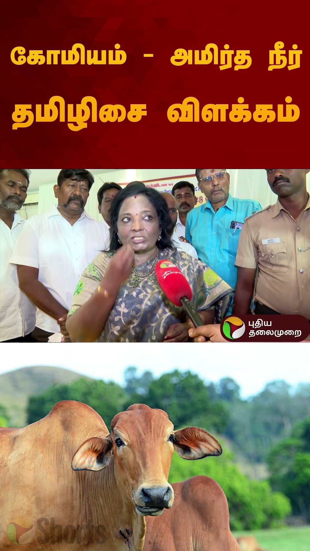 கோமியம் - அமிர்த நீர் தமிழிசை விளக்கம் | Tamilisai Soundararajan | #cow | #shorts