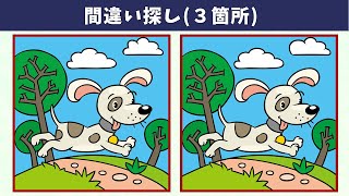 картинка: Найдите 3 отличия | Иллюстрация Версия #482
