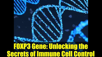 FOXP3 Gene: Unlocking the Secrets of Immune Cell Control | Science Explained