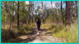 Solo Hike Portal Waterhole Loop - Glenbrook NP - Blue Mountains