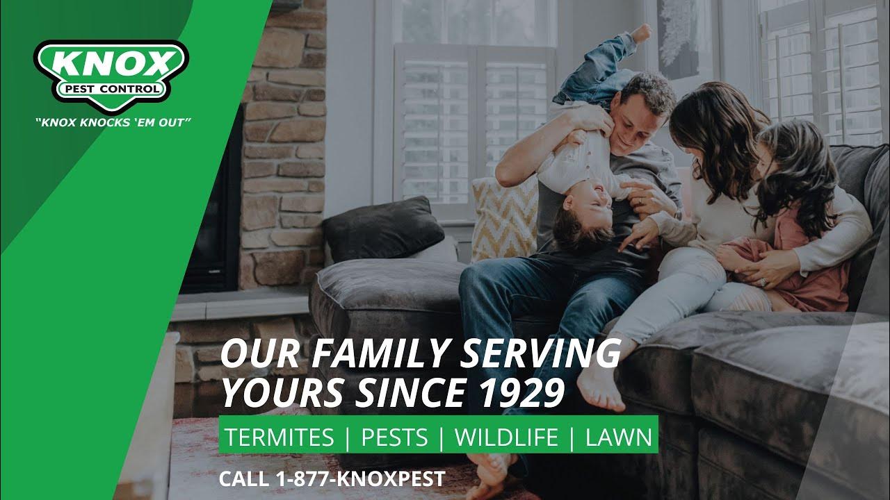 Knox Pest Control YouTube