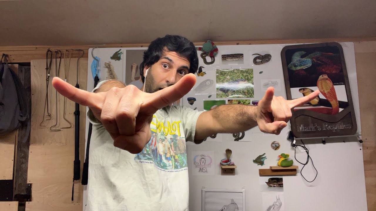 Mark’s Reptiles live with snakes