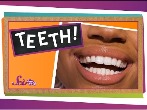 Teeth: Not Just for Smiles!