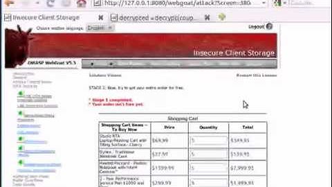 Webgoat - Insecure Client Storage