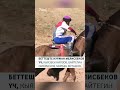 ДКО: Көк бөрү менен көкпардан Кыргызстан чемпион болду