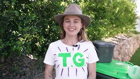 Trash Girl talks food scraps, thanks to Let