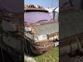 Rat Look Vw t4