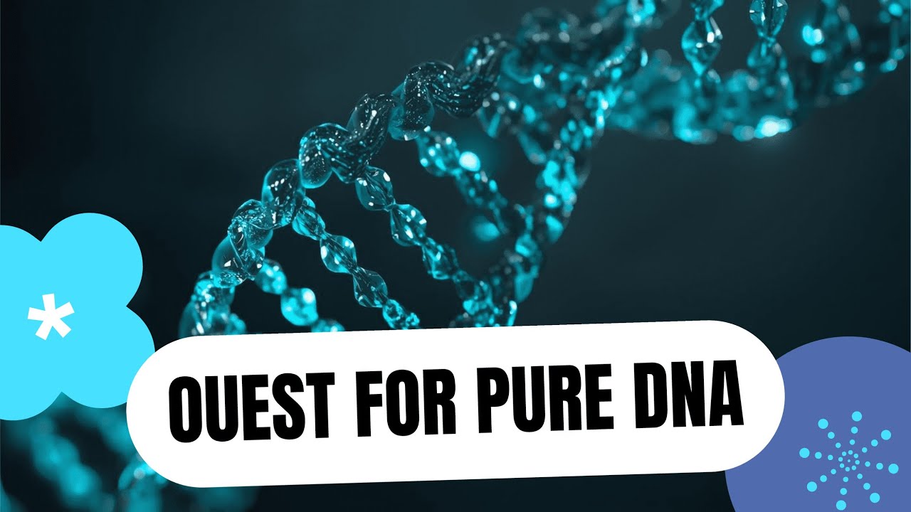 The Quest for Pure DNA