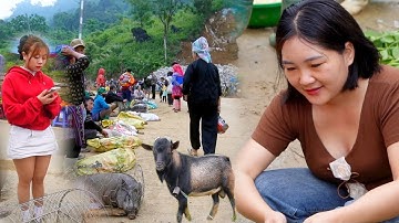 ĐẾN VỚI CHỢ NGUYÊN SƠ TÂY BẮC CỐC LY - TOÀN DÊ NÚI ĐẶC SẢN, LỢN CẮP NÁCH, DƯỢC LIỆU QUÝ HIẾM 