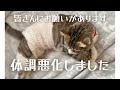 【奇跡の保護猫】体調が悪化しました