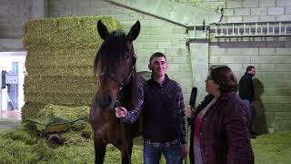 Feria del Caballo de Belmonte de Miranda / El Campo de Asturias