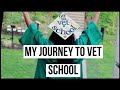 How i got into vet school  getting accepted after rejection  dogtor lindsey