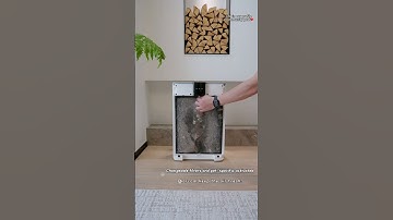 🐾✨ Say goodbye to pet hair and odors! This purifier is a game changer for pet owners!