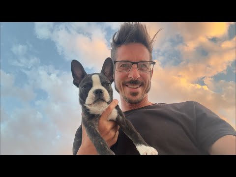 Live Q&A