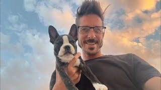 Live Q&A