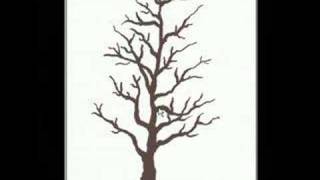 Pruning Lesson #1