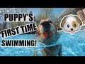 OUR PUPPY'S FIRST TIME SWIMMING!!