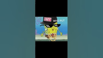 SpongeBob roast part 1