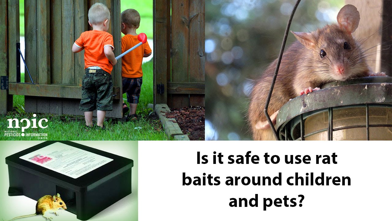 Can rat poison (rodenticides) hurt kids and pets?