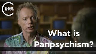 Andy Clark  What is Panpsychism?