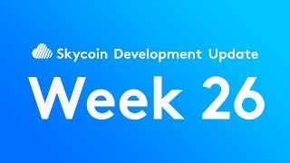 Skycoin Development Update Week 26