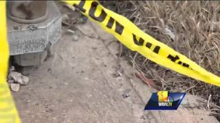 2 teens killed in crash involving stolen car