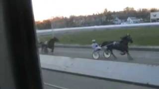 Night at Northville Downs