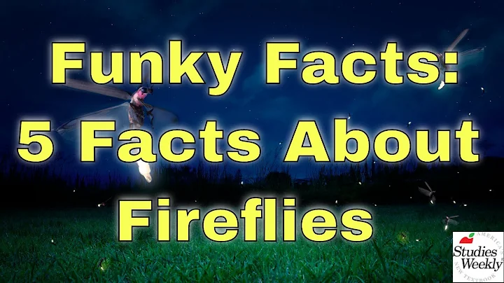 Studies Weekly Funky Facts: 5 Facts about Fireflies