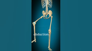 abduction and adduction of hip joint#physiorehab #drsamia
