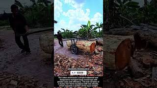 Simple Yet Powerful Traditional Log Transport Tool In Action