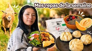 Mes repas de la semaine, Retour de courses, Ouverture du colis, Pique-nique, Produit local...