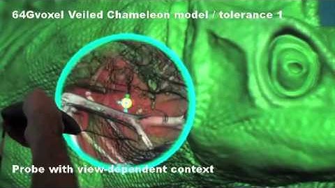 View-dependent Exploration of Massive Volumetric Models on Large Scale Light Field Displays